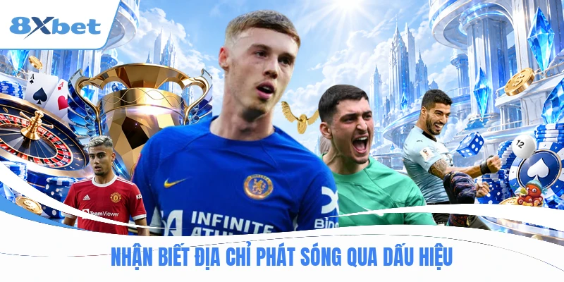 Nhận biết địa chỉ phát sóng qua dấu hiệu